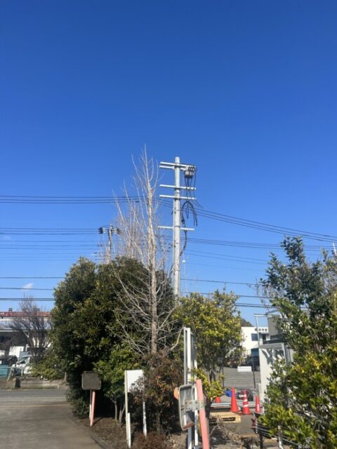 神奈川県高圧受電設備